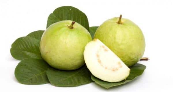 Top 10 healthy reasons to eat guavas this season! 