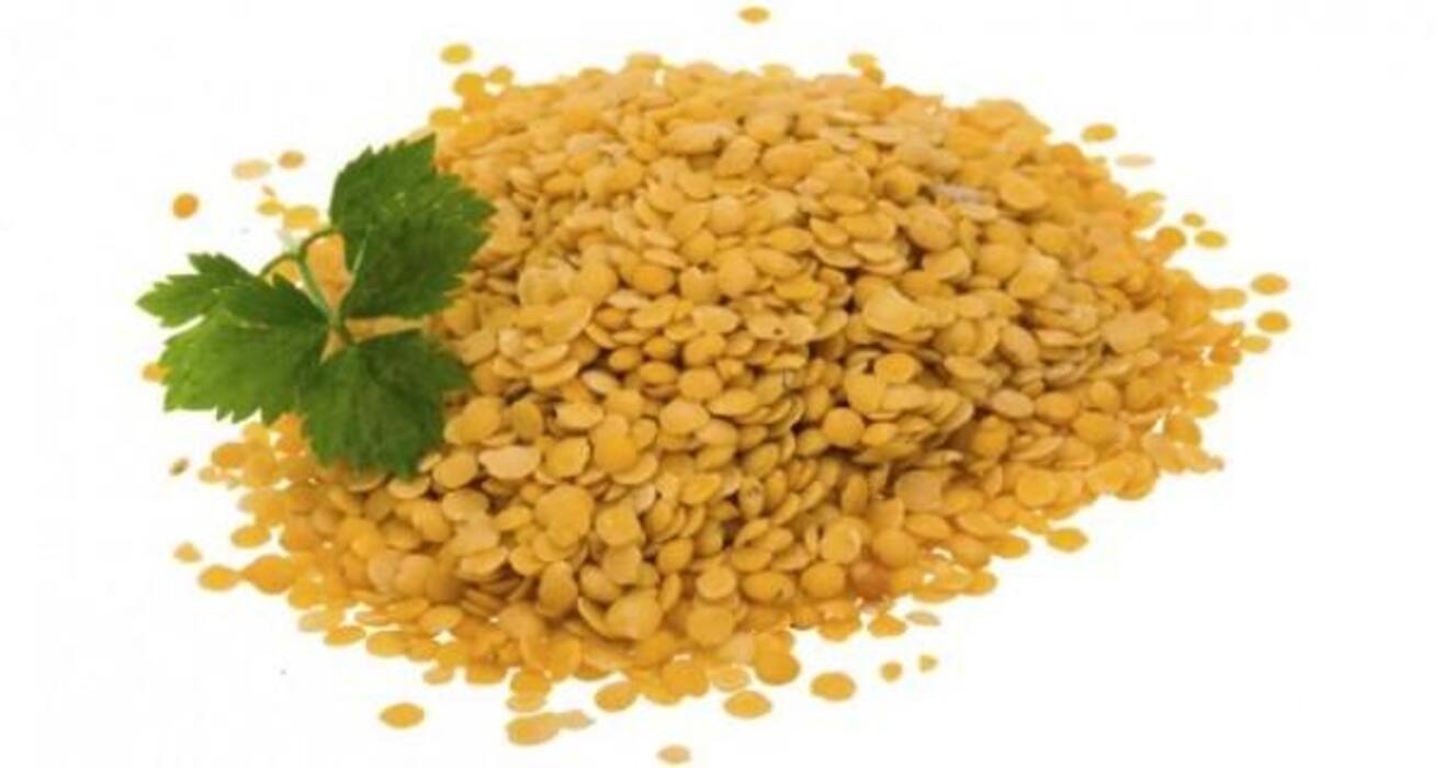 Daily Weight Loss Tip: 10 best protein-rich foods for weight loss (Photo Gallery)