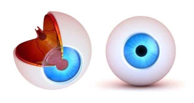 eye