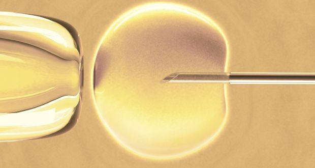 in vitro fertilisation