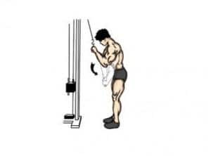 triceps cable extension