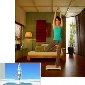 wii fit
