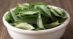 Prevent hair loss with curry leaves or kadi patta