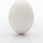 egg