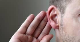 We can identify a friend's voice from just two words