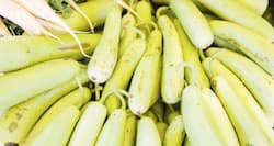 6 healthy reasons to eat lauki or bottle gourd