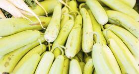 6 healthy reasons to eat lauki or bottle gourd