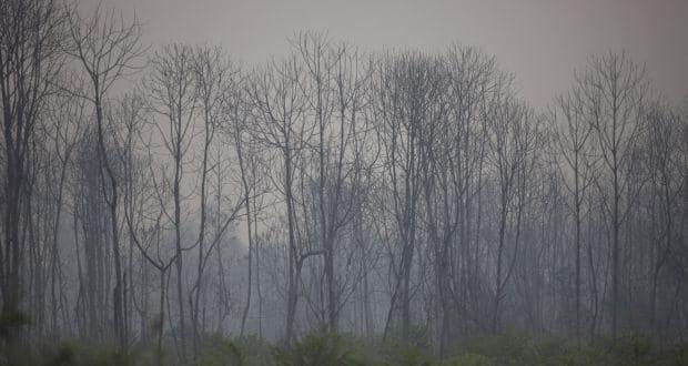 environment
