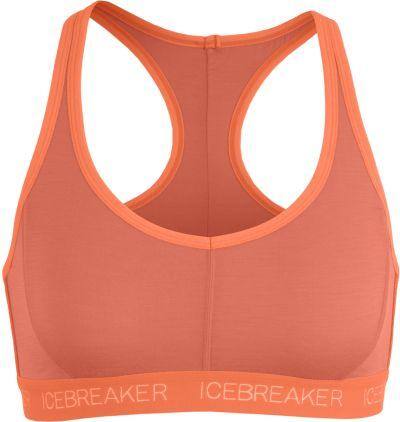 ice breaker bra