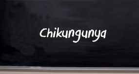 Scientists identify ways to tackle the chikungunya virus Scientists identify ways to tackle the chikungunya virus