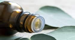 7 uses of eucalyptus oil you didn't know about!