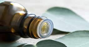7 uses of eucalyptus oil you didn't know about!