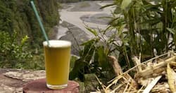 Top 10 healthy reasons to drink sugarcane juice