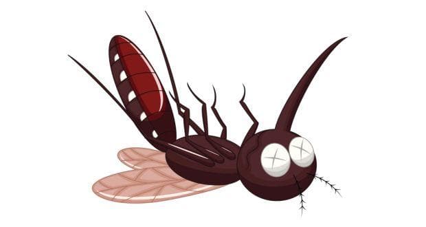 malaria