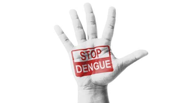 Stop dengue