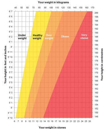 Healthy BMI Range for Seniors: How Much Should You Weigh?