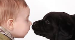 Don't leave your child unattended with your pet