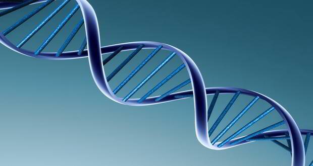 gene-2