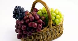 9 surprising health benefits of grapes or angoor