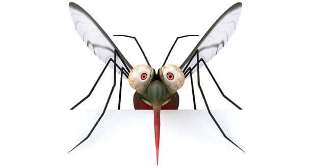 Malaria