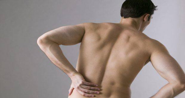 spinal chord 