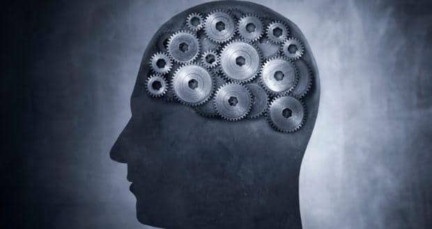 brain