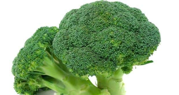 What Do Asthma Heart Disease And Cancer >> Eat Broccoli To Stay Healthy And Cut The Risk Of Heart Disease What Do Asthma Heart Disease And Cancer >> Eat Broccoli To Stay Healthy And Cut The Risk Of Heart Disease