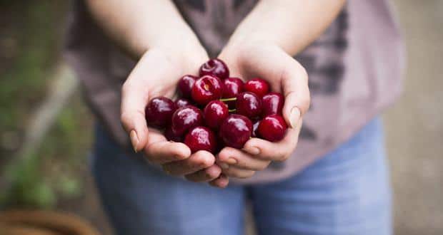 cherries