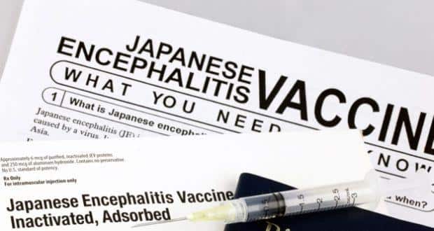 japanese-encephalitis1