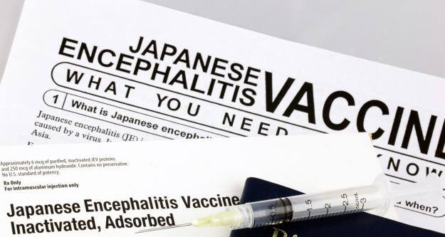 Japanese-encephalitis