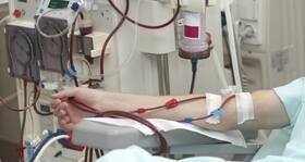 Recycled, diseased kidneys save many lives in Australia Recycled, diseased kidneys save many lives in Australia