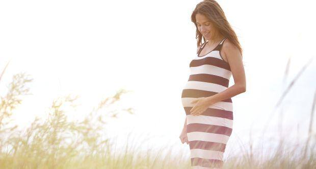 What happens during the 20th week of your pregnancy