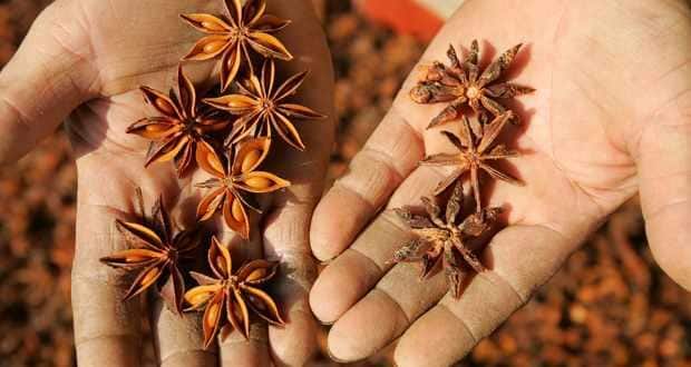 Anise star Whole Star