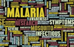 Statins may help combat typhoid, chlamydia and malaria