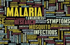 India recorded 6% of global malaria cases in 2016: WHO