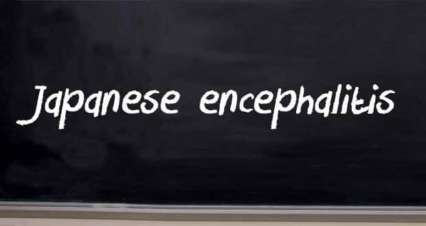 japanese-encephalitis1