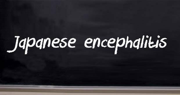 1japanese-encephalitis