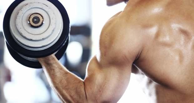 biceps
