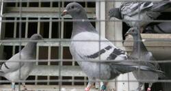 People in crowded urban poor areas see more potential 