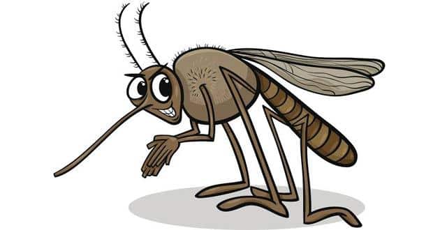 chikungunya