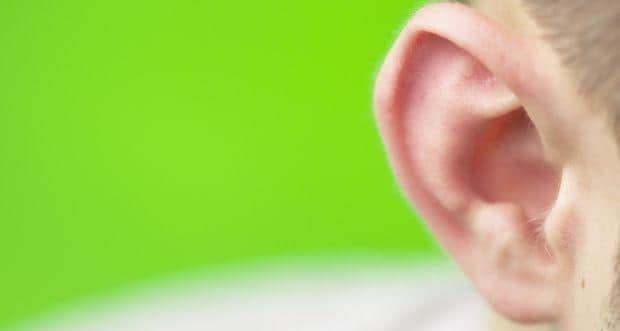 ear