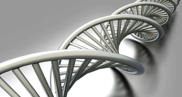 Genes2
