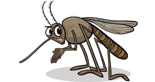 malaria