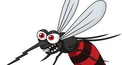 विश्व मलेरिया दिवस: घर को मच्छरों से बचाने के लिए 10 नैचुरल तरीके