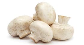 Suffering from diabetes? Eat mushrooms