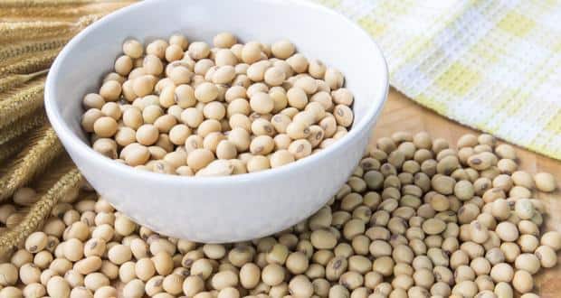 Soyabean to lower cholesterol