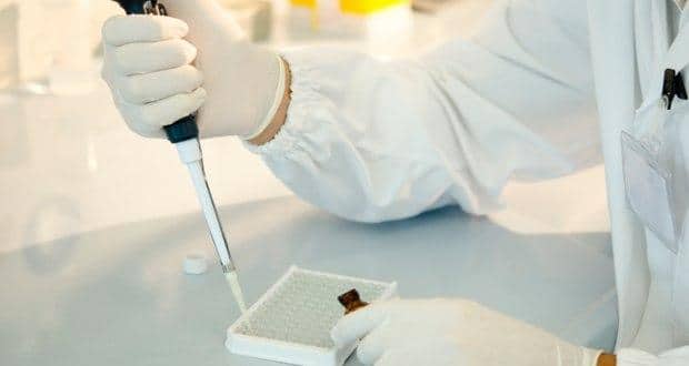 stem-cell 