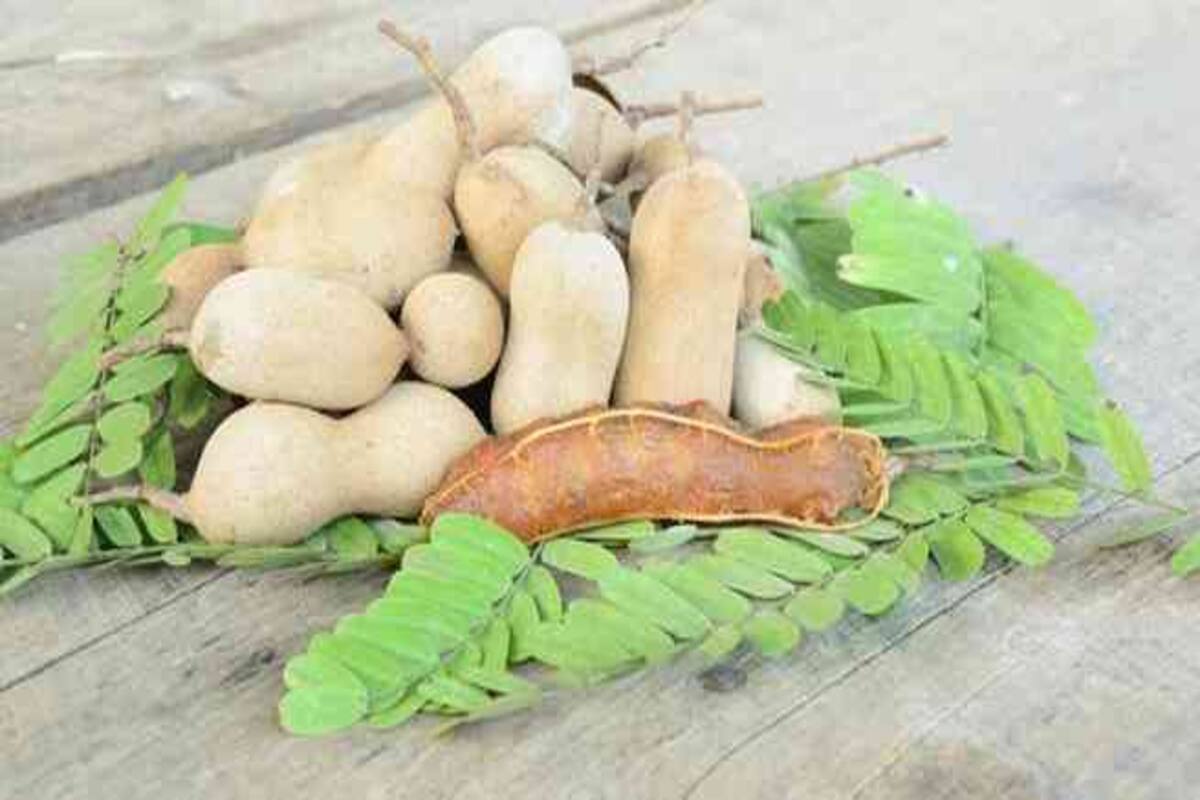 7 Healthy Reasons To Include Tamarind In Your Diet Thehealthsite Com