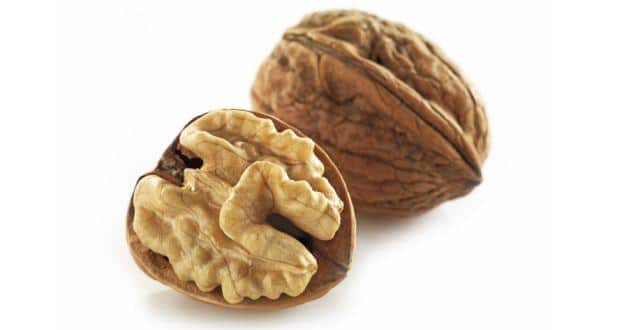 walnut
