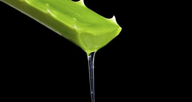 aloe vera gel